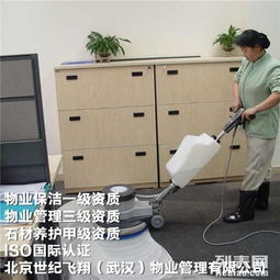 图 江夏日常保洁托管 专业保洁清洗团队 武汉保洁 清洗